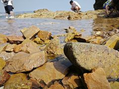 -青岛第二海水浴场