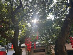 -广州神农草堂中医药博物馆