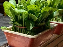 -老街坊美食汇(玉兰大街店)