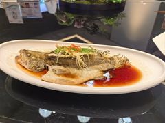 -睿智餐饮(枫尚店)