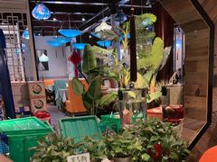 -西塘人家•黑金冠本地好店
