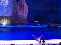 -华夏文旅海洋公园