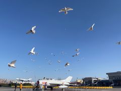 -泰达航母主题公园