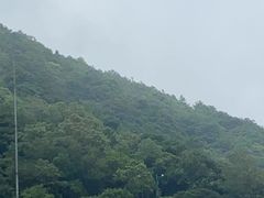 -梧桐山风景名胜区