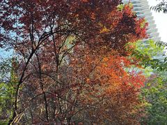 -木塔寺遗址生态公园