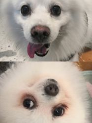 -MZ SKIN CARE逆齢驻颜中心