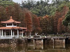 -深圳仙湖植物园