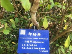 -中国科学院西双版纳热带植物园