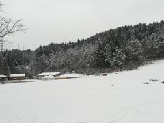 -武陵山森林公园