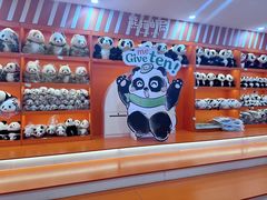 -熊猫邮局(少城店)