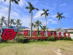 -亚龙湾国际玫瑰谷