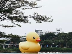 -深圳人才公园