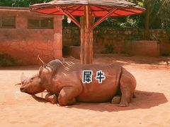 -昆明动物园