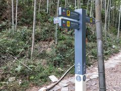 -九龙江国家森林公园