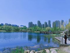 -群力丁香公园