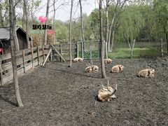 -溱湖国家湿地公园