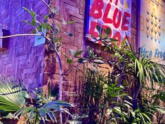 -bluefrog蓝蛙(皇庭广场店)