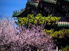 -迎泽公园