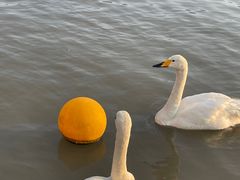 -上海野生动物园