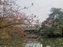 -杭州植物园