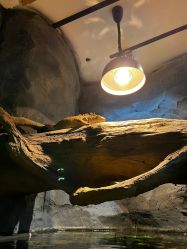 -Zoolung Zoolung动物主题公园(海信广场店)