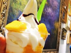-Salud撒露欧洲冻酸奶(798艺术区店)