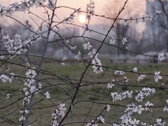 -汉长安城未央宫国家考古遗址公园