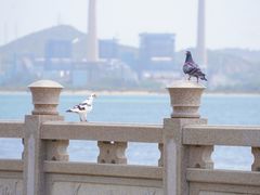 -华侨公园