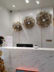 -YESIDO椰岛造型