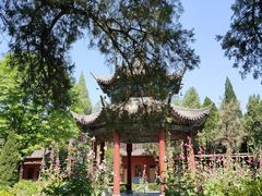 -洛阳白马寺