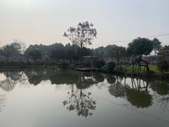 -洪湖家庭农场·团建·露营·会议