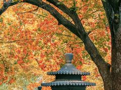 -香山公园