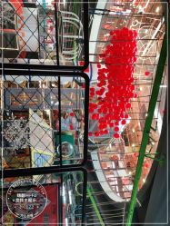 -嗨翻Hi-Fun竞技主题乐园·蹦床团建生日聚会(五棵松华熙店)