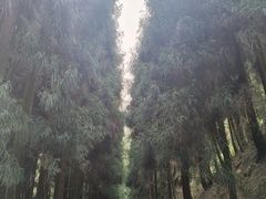 -太阳湾风景区