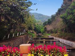 -广州白江湖森林公园