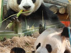 -栾川竹海野生动物园