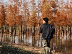 -白鹭湾湿地公园