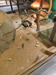 -酷嗒动物文化乐园(cutezoo西溪乐天城店)