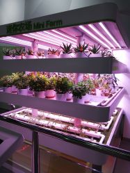 -北京科学中心儿童乐园