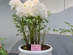 -上海辰山植物园