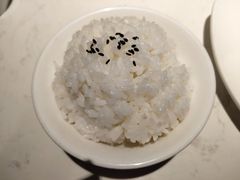 东北五常稻米饭（碗）-坛宗剁椒鱼头(河西王府井店)