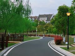 -九龙湖公园