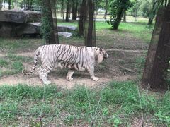 -秦皇岛野生动物园