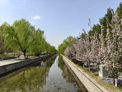 -元大都城垣遗址公园