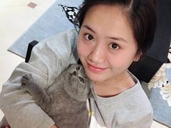 -猫大福·Fortune Cat猫舍(百子湾店)