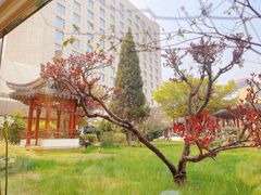 -九献创意菜·新中式(亮马河花园私宴店)
