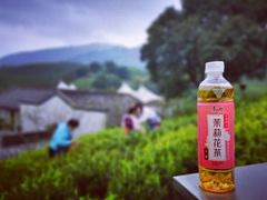-帐篷客·溪龙茶谷度假酒店