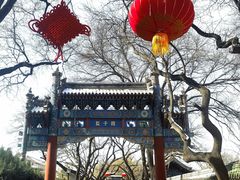 -北京国子监胡同