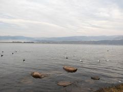 -西昌邛海宾馆