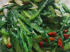 素炒油麦菜-炕锅羊肉土火锅面片大王